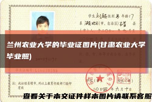 兰州农业大学的毕业证图片(甘肃农业大学毕业照)缩略图