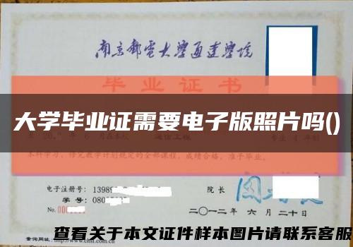 大学毕业证需要电子版照片吗()缩略图