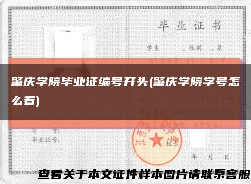 肇庆学院毕业证编号开头(肇庆学院学号怎么看)缩略图