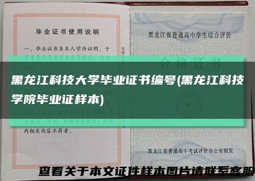 黑龙江科技大学毕业证书编号(黑龙江科技学院毕业证样本)缩略图