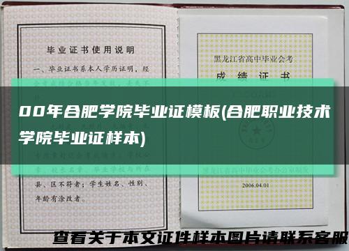 00年合肥学院毕业证模板(合肥职业技术学院毕业证样本)缩略图