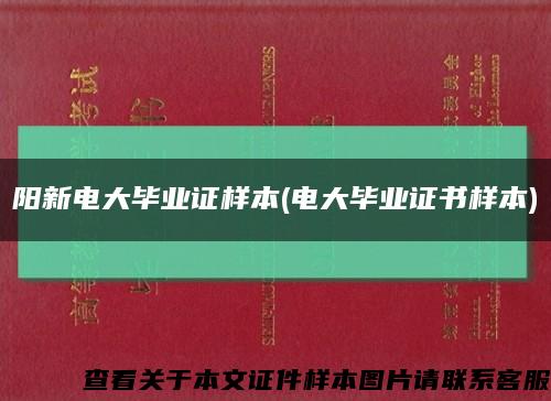 阳新电大毕业证样本(电大毕业证书样本)缩略图