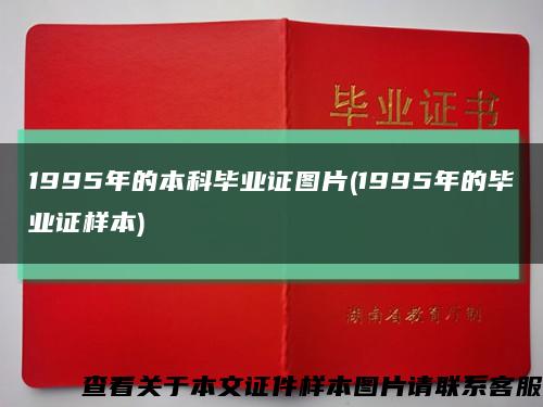 1995年的本科毕业证图片(1995年的毕业证样本)缩略图