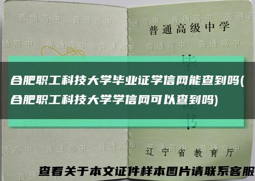 合肥职工科技大学毕业证学信网能查到吗(合肥职工科技大学学信网可以查到吗)缩略图