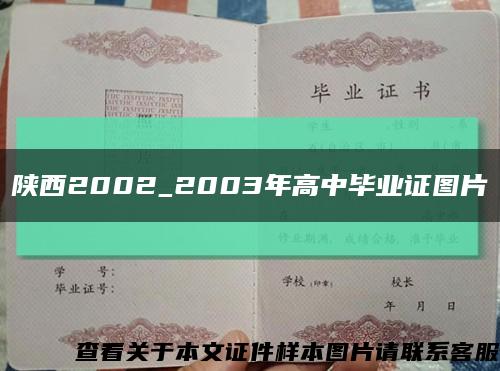 陕西2002_2003年高中毕业证图片缩略图