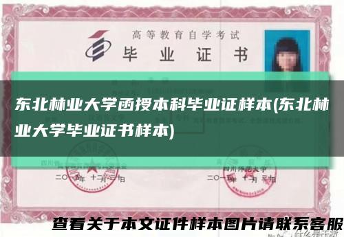 东北林业大学函授本科毕业证样本(东北林业大学毕业证书样本)缩略图