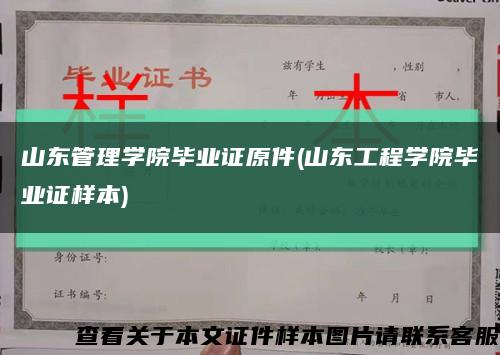 山东管理学院毕业证原件(山东工程学院毕业证样本)缩略图