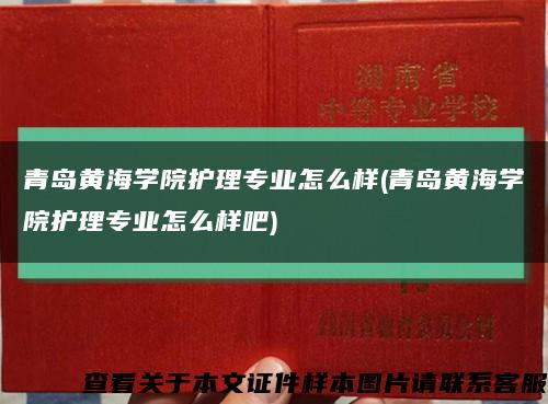 青岛黄海学院护理专业怎么样(青岛黄海学院护理专业怎么样吧)缩略图