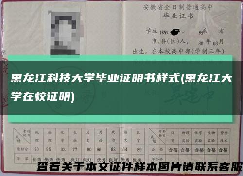 黑龙江科技大学毕业证明书样式(黑龙江大学在校证明)缩略图