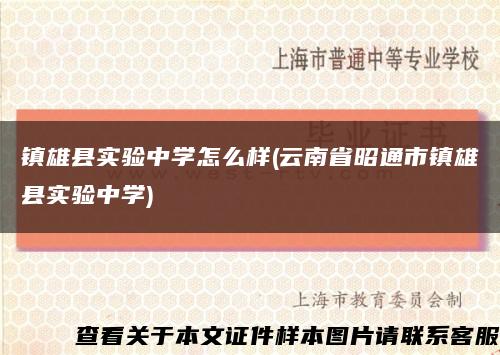 镇雄县实验中学怎么样(云南省昭通市镇雄县实验中学)缩略图