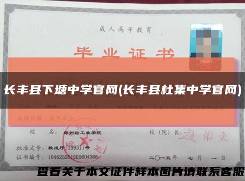 长丰县下塘中学官网(长丰县杜集中学官网)缩略图