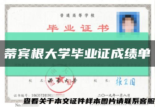 蒂宾根大学毕业证成绩单缩略图