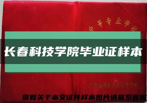 长春科技学院毕业证样本缩略图