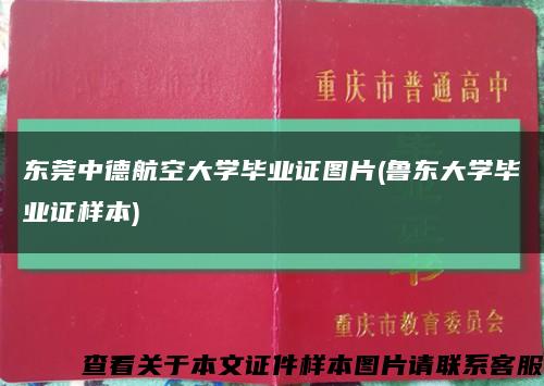 东莞中德航空大学毕业证图片(鲁东大学毕业证样本)缩略图