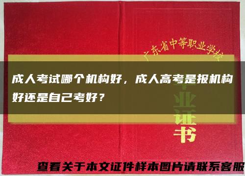 成人考试哪个机构好，成人高考是报机构好还是自己考好？缩略图