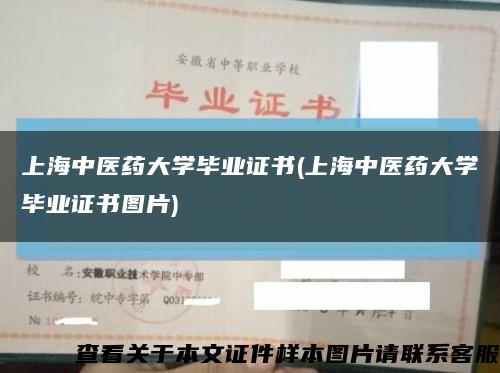 上海中医药大学毕业证书(上海中医药大学毕业证书图片)缩略图