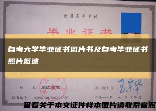 自考大学毕业证书图片书及自考毕业证书照片概述缩略图