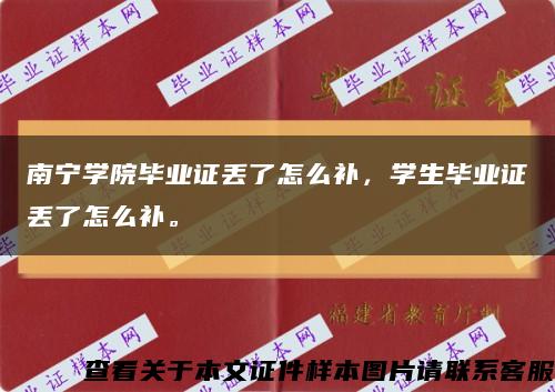 南宁学院毕业证丢了怎么补，学生毕业证丢了怎么补。缩略图