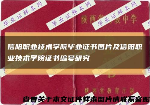 信阳职业技术学院毕业证书图片及信阳职业技术学院证书编号研究缩略图