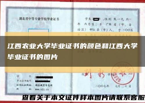 江西农业大学毕业证书的颜色和江西大学毕业证书的图片缩略图