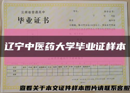 辽宁中医药大学毕业证样本缩略图