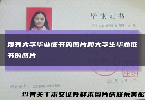 所有大学毕业证书的图片和大学生毕业证书的图片缩略图