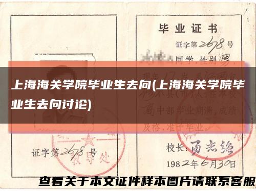 上海海关学院毕业生去向(上海海关学院毕业生去向讨论)缩略图