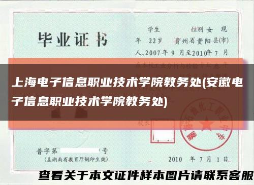 上海电子信息职业技术学院教务处(安徽电子信息职业技术学院教务处)缩略图