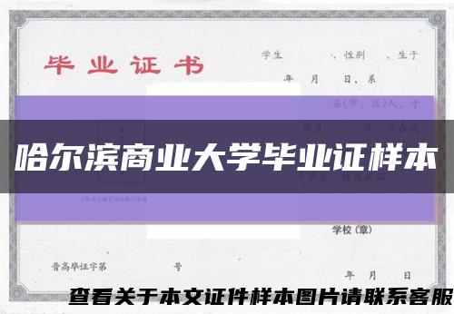 哈尔滨商业大学毕业证样本缩略图