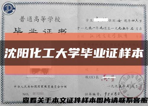 沈阳化工大学毕业证样本缩略图