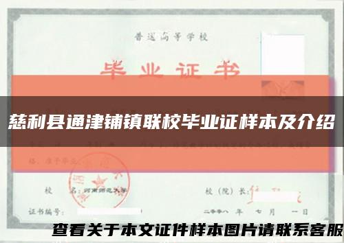 慈利县通津铺镇联校毕业证样本及介绍缩略图