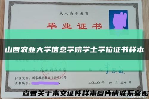 山西农业大学信息学院学士学位证书样本缩略图