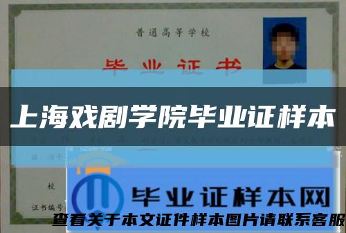 上海戏剧学院毕业证样本缩略图