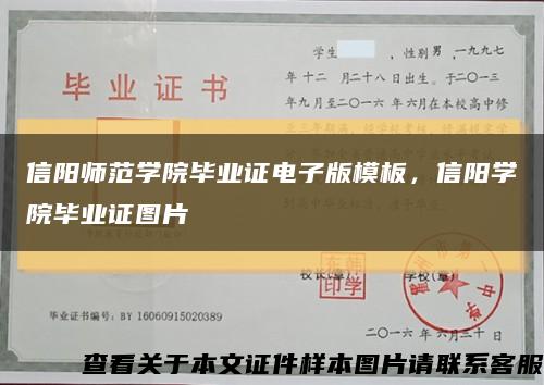 信阳师范学院毕业证电子版模板，信阳学院毕业证图片缩略图