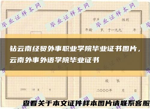 钻云南经贸外事职业学院毕业证书图片，云南外事外语学院毕业证书缩略图