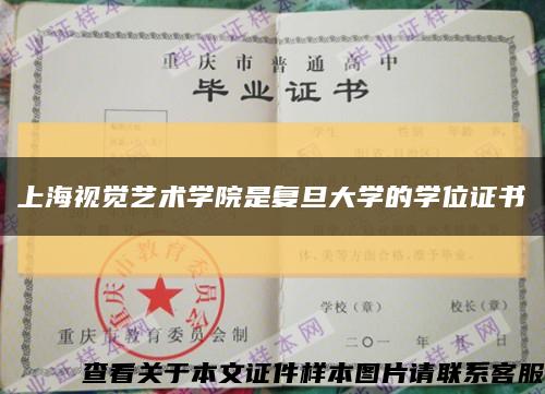 上海视觉艺术学院是复旦大学的学位证书缩略图