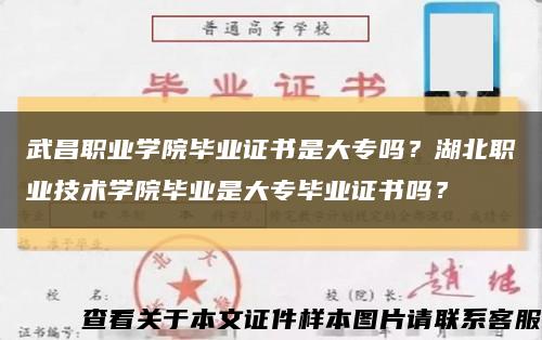 武昌职业学院毕业证书是大专吗？湖北职业技术学院毕业是大专毕业证书吗？缩略图