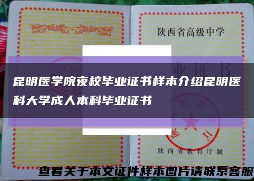 昆明医学院夜校毕业证书样本介绍昆明医科大学成人本科毕业证书缩略图