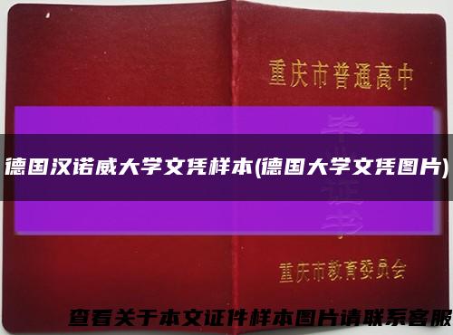 德国汉诺威大学文凭样本(德国大学文凭图片)缩略图