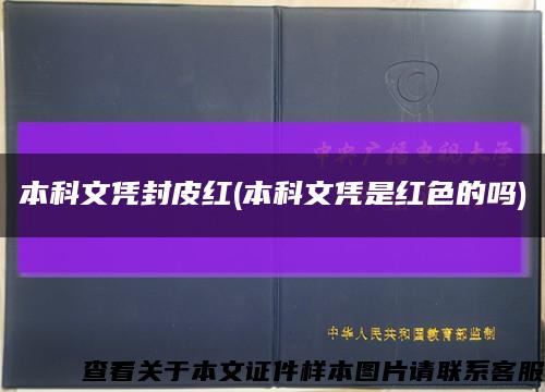 本科文凭封皮红(本科文凭是红色的吗)缩略图