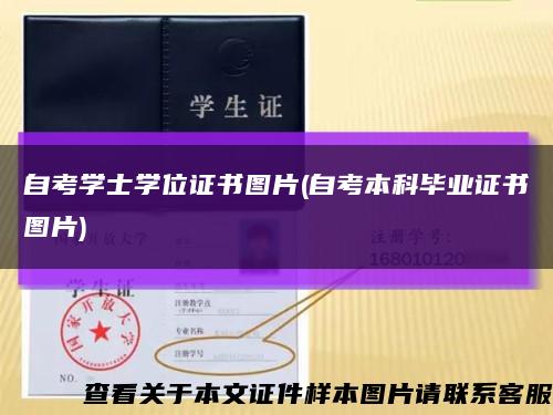 自考学士学位证书图片(自考本科毕业证书图片)缩略图