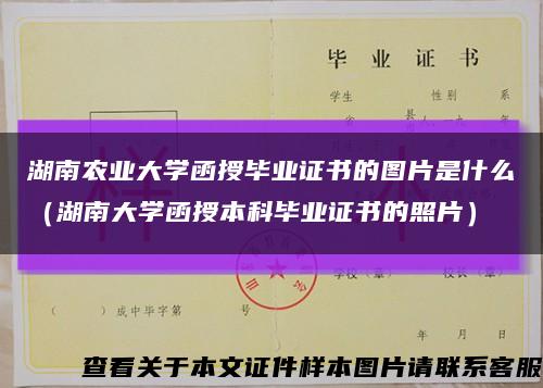 湖南农业大学函授毕业证书的图片是什么（湖南大学函授本科毕业证书的照片）缩略图