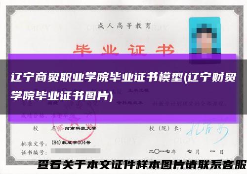 辽宁商贸职业学院毕业证书模型(辽宁财贸学院毕业证书图片)缩略图