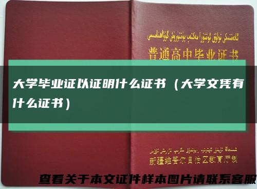 大学毕业证以证明什么证书（大学文凭有什么证书）缩略图