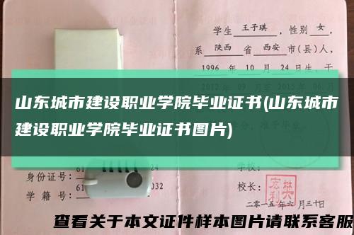 山东城市建设职业学院毕业证书(山东城市建设职业学院毕业证书图片)缩略图