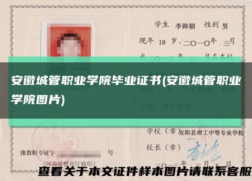 安徽城管职业学院毕业证书(安徽城管职业学院图片)缩略图