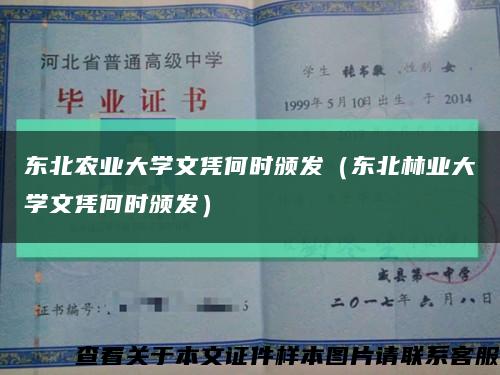 东北农业大学文凭何时颁发（东北林业大学文凭何时颁发）缩略图