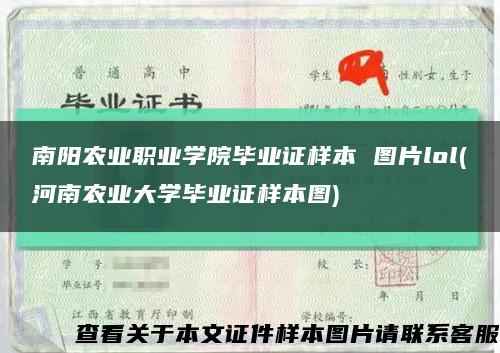 南阳农业职业学院毕业证样本 图片lol(河南农业大学毕业证样本图)缩略图