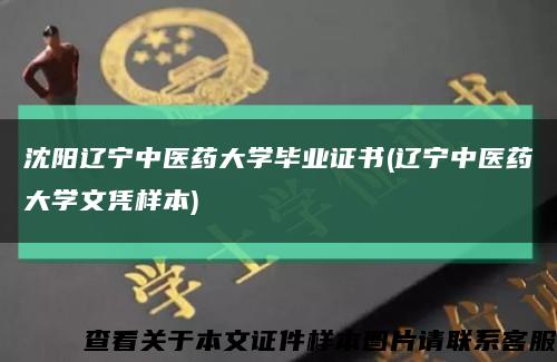 沈阳辽宁中医药大学毕业证书(辽宁中医药大学文凭样本)缩略图