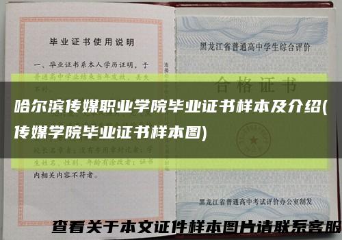 哈尔滨传媒职业学院毕业证书样本及介绍(传媒学院毕业证书样本图)缩略图